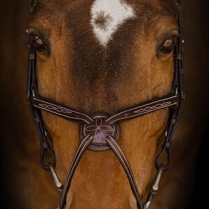 Riviera ‘The Berlin’ Figure Eight Bridle
